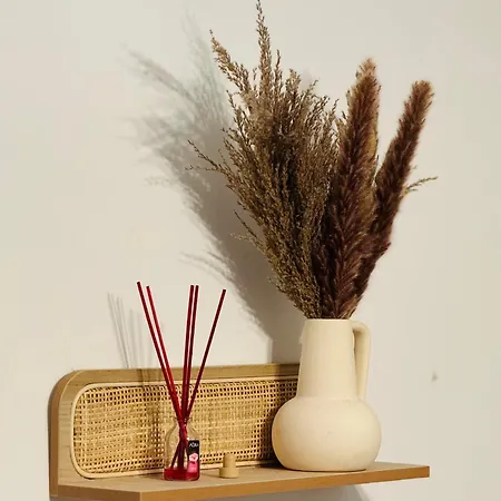 Cosy Au Port De Hyères